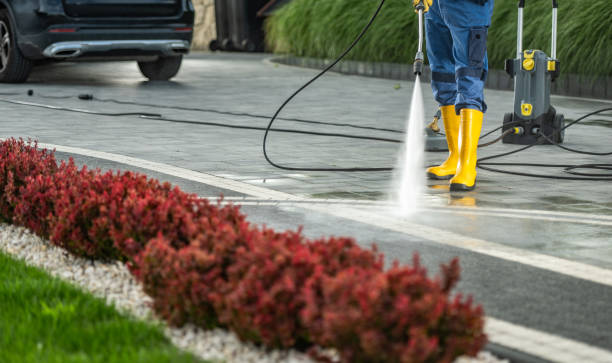 Best Roof Pressure Washing  in Hazleton, PA